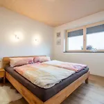 Apartament Kirchler Hippach