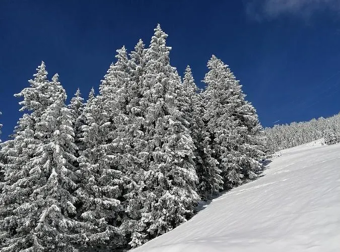 Kirchler Apartment *