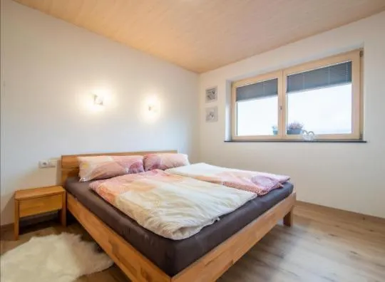 Apartment Kirchler Hippach